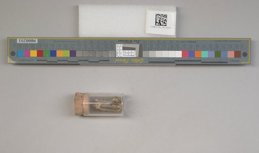 NSF ADBC EPICC TCN