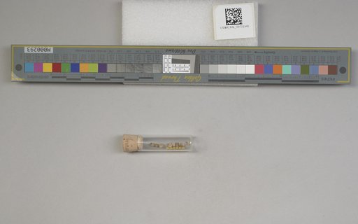 NSF ADBC EPICC TCN