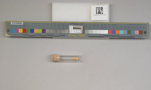 NSF ADBC EPICC TCN
