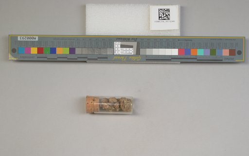 NSF ADBC EPICC TCN