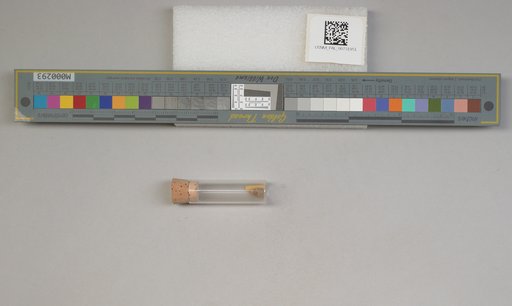 NSF ADBC EPICC TCN