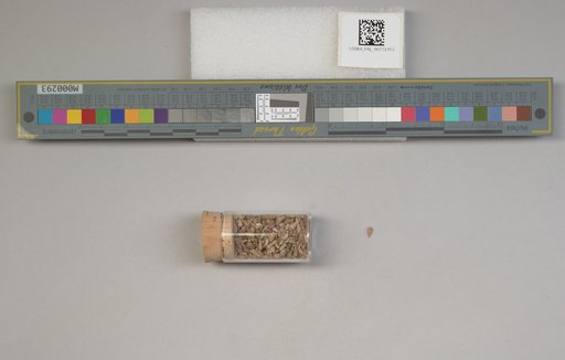 NSF ADBC EPICC TCN
