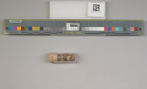 NSF ADBC EPICC TCN