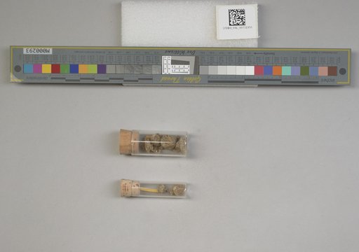NSF ADBC EPICC TCN
