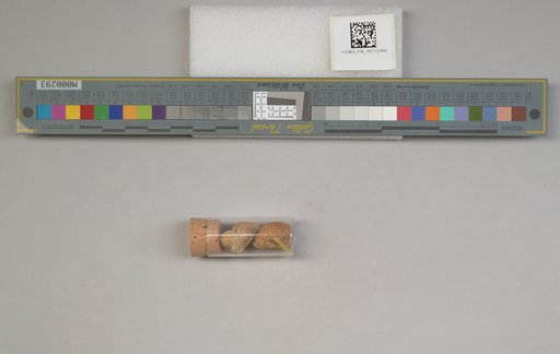NSF ADBC EPICC TCN