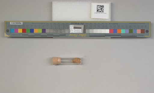 NSF ADBC EPICC TCN