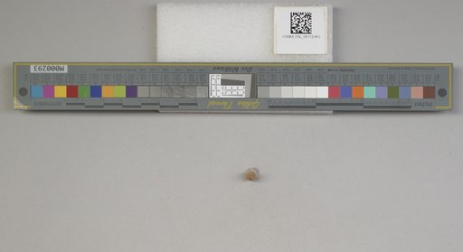 NSF ADBC EPICC TCN