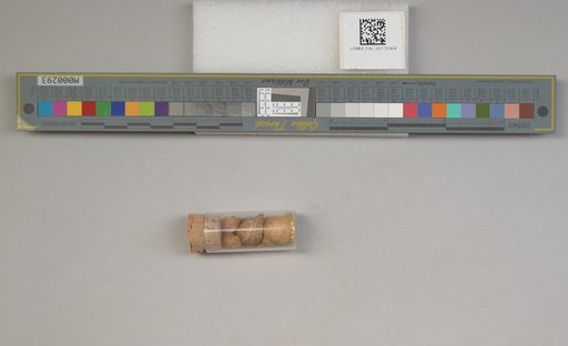 NSF ADBC EPICC TCN