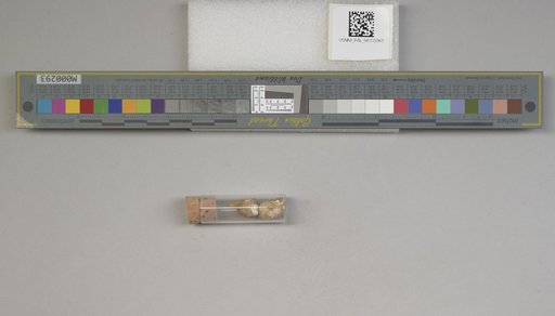 NSF ADBC EPICC TCN
