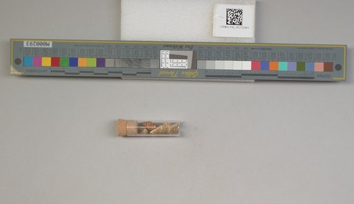 NSF ADBC EPICC TCN
