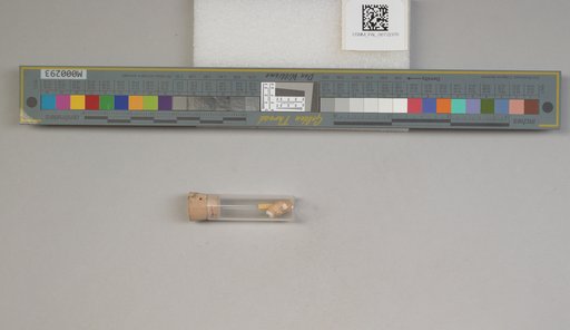 NSF ADBC EPICC TCN