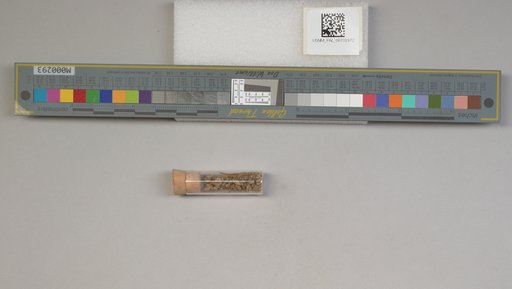NSF ADBC EPICC TCN