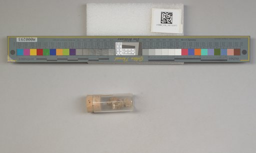 NSF ADBC EPICC TCN