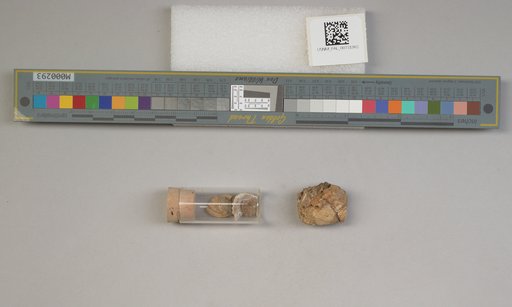 NSF ADBC EPICC TCN