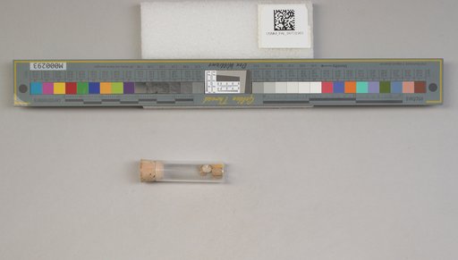 NSF ADBC EPICC TCN