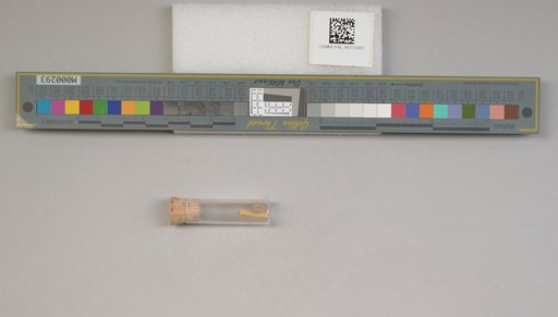 NSF ADBC EPICC TCN