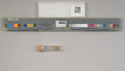 NSF ADBC EPICC TCN