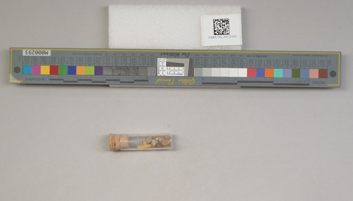 NSF ADBC EPICC TCN