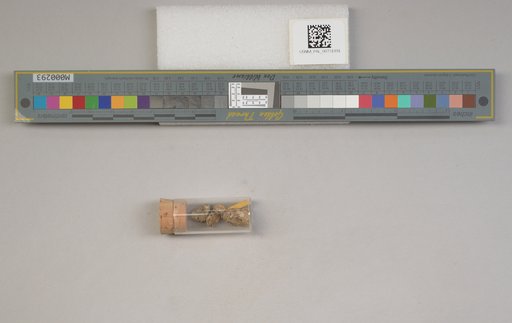 NSF ADBC EPICC TCN