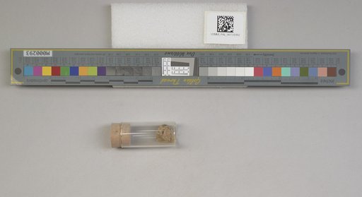 NSF ADBC EPICC TCN