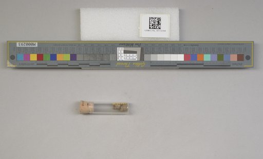 NSF ADBC EPICC TCN