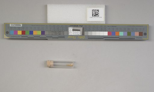 NSF ADBC EPICC TCN