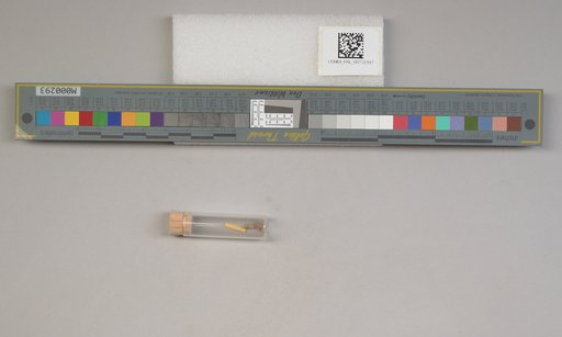 NSF ADBC EPICC TCN