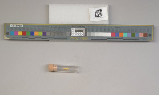 NSF ADBC EPICC TCN