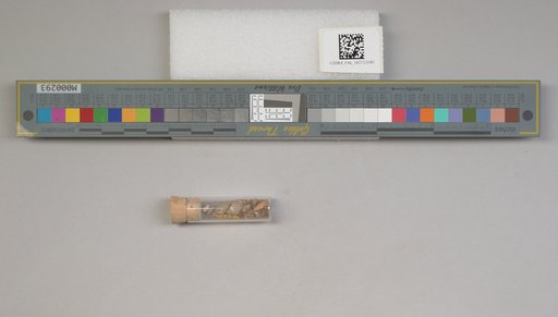 NSF ADBC EPICC TCN