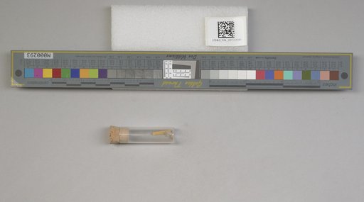 NSF ADBC EPICC TCN