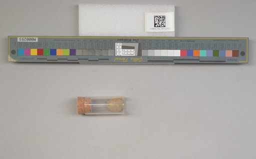 NSF ADBC EPICC TCN