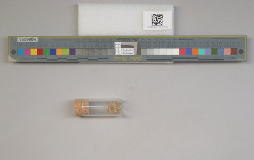 NSF ADBC EPICC TCN