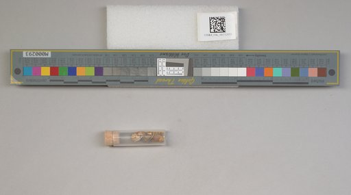 NSF ADBC EPICC TCN