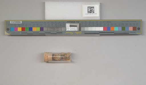 NSF ADBC EPICC TCN