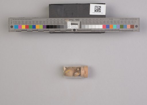 NSF ADBC EPICC TCN