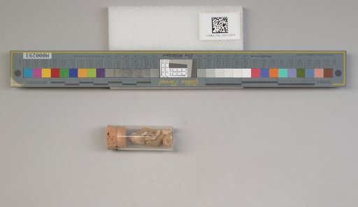NSF ADBC EPICC TCN