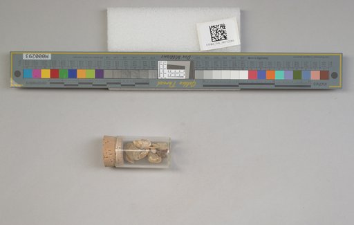 NSF ADBC EPICC TCN
