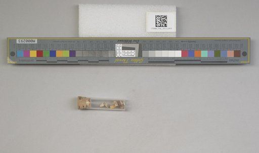 NSF ADBC EPICC TCN