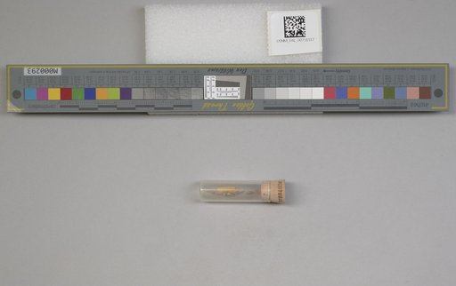 NSF ADBC EPICC TCN