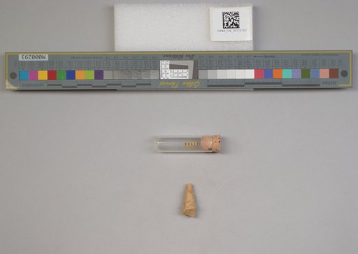NSF ADBC EPICC TCN