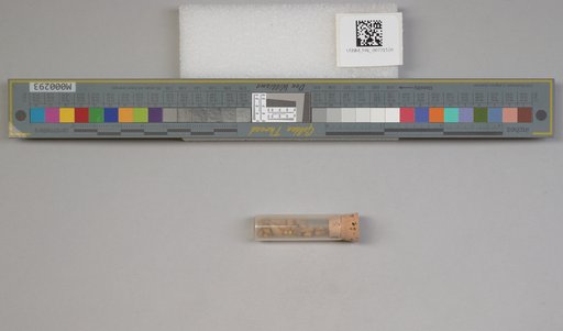 NSF ADBC EPICC TCN