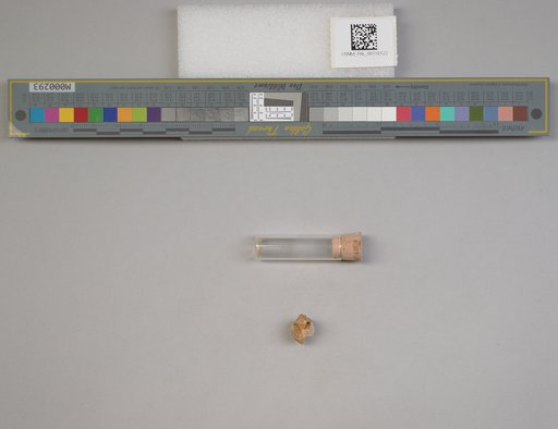 NSF ADBC EPICC TCN