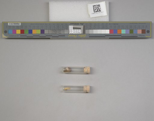 NSF ADBC EPICC TCN