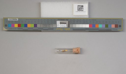 NSF ADBC EPICC TCN
