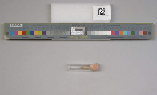 NSF ADBC EPICC TCN