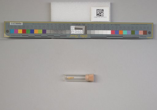 NSF ADBC EPICC TCN