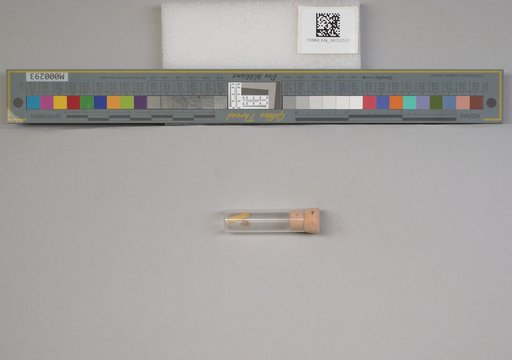 NSF ADBC EPICC TCN