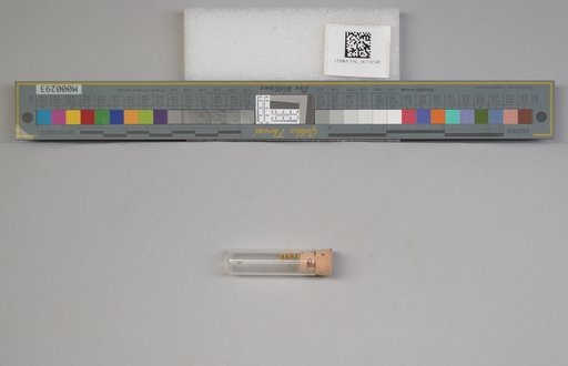 NSF ADBC EPICC TCN