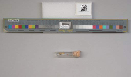 NSF ADBC EPICC TCN