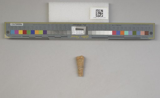 NSF ADBC EPICC TCN